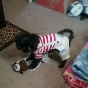 Meet your Posher, Tisha